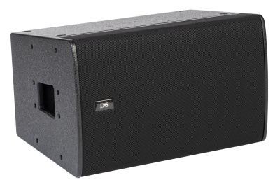 DS Proaudio ERA-i 1210 FP